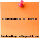 COORDINADOR DE COMEX