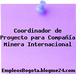 Coordinador de Proyecto para Compañía Minera Internacional