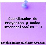 Coordinador de Proyectos y Redes Internacionales – T