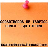 COORDINADOR DE TRAFICO COMEX – QUILICURA