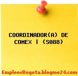 COORDINADOR(A) DE COMEX | (S088)