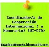 Coordinador/a de Cooperación Internacional ( a Honorario) (UI-579)