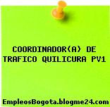 COORDINADOR(A) DE TRAFICO QUILICURA PV1