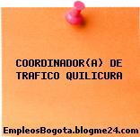 COORDINADOR(A) DE TRAFICO QUILICURA