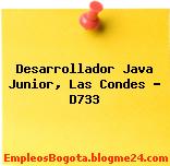 Desarrollador Java Junior, Las Condes – D733