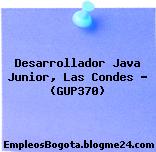 Desarrollador Java Junior, Las Condes – (GUP370)