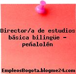 Director/a de estudios básica bilingüe – peñalolén