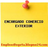 ENCARGADO COMERCIO EXTERIOR