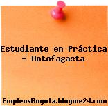 Estudiante en Práctica – Antofagasta