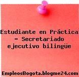 Estudiante en Práctica – Secretariado ejecutivo bilingüe