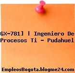 GX-781] | Ingeniero De Procesos Ti – Pudahuel