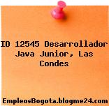 ID 12545 Desarrollador Java Junior, Las Condes