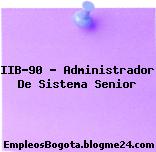IIB-90 – Administrador De Sistema Senior
