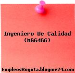 Ingeniero De Calidad (MGG466)