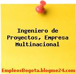 Ingeniero de Proyectos, Empresa Multinacional