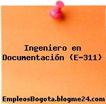 Ingeniero en Documentación (E-311)