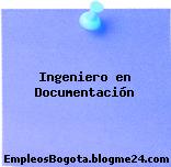 Ingeniero en Documentación