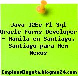 Java J2Ee Pl Sql Oracle Forms Developer – Manila en Santiago, Santiago para Hcm Nexus