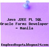 Java J2EE PL SQL Oracle Forms Developer – Manila