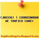 (JBU336) | COORDINADOR DE TRAFICO COMEX