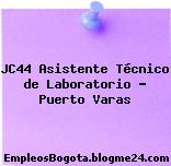 JC44 Asistente Técnico de Laboratorio – Puerto Varas