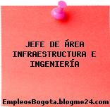 JEFE DE ÁREA INFRAESTRUCTURA E INGENIERÍA