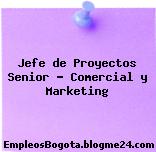 Jefe de Proyectos Senior – Comercial y Marketing