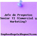 Jefe de Proyectos Senior TI (Comercial y Marketing)