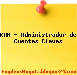 KAM – Administrador de Cuentas Claves