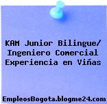 KAM Junior Bilingue/ Ingeniero Comercial Experiencia en Viñas