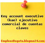 Key account executive (kae) ejecutivo comercial de cuentas claves