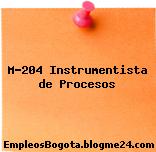 M-204 Instrumentista de Procesos