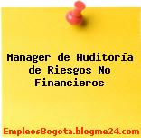 Manager de Auditoría de Riesgos No Financieros