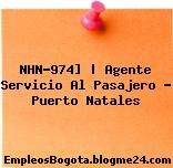 NHN-974] | Agente Servicio Al Pasajero – Puerto Natales