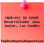 (NZK-21) ID 12545 Desarrollador Java Junior, Las Condes