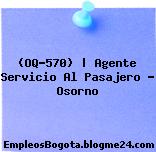 (OQ-570) | Agente Servicio Al Pasajero – Osorno