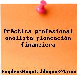 Práctica profesional analista planeación financiera