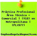Práctica Profesional Área Técnica – Comercial | (Y18) en Metropolitana | (PLX977)