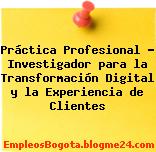 Práctica Profesional – Investigador para la Transformación Digital y la Experiencia de Clientes