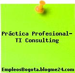 Práctica Profesional- TI Consulting