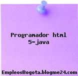 Programador html 5-java
