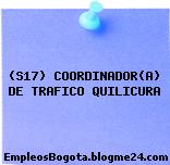 (S17) COORDINADOR(A) DE TRAFICO QUILICURA