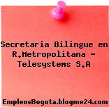 Secretaria Bilingue en R.Metropolitana – Telesystems S.A