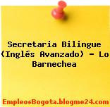 Secretaria Bilingue (Inglés Avanzado) – Lo Barnechea