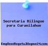 Secretaria Bilingue para Curanilahue