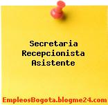Secretaria Recepcionista Asistente
