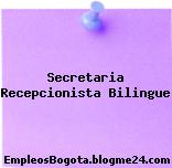 Secretaria Recepcionista Bilingue
