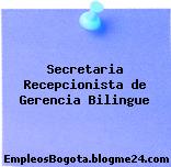 Secretaria Recepcionista de Gerencia Bilingue