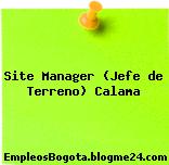 Site Manager (Jefe de Terreno) Calama