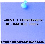 T-869] | COORDINADOR DE TRAFICO COMEX
